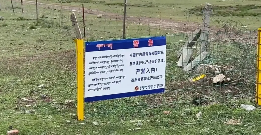 三问青海湖“围栏挡景”