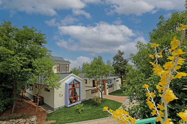 探访乡村烟火气里的“流量密码”