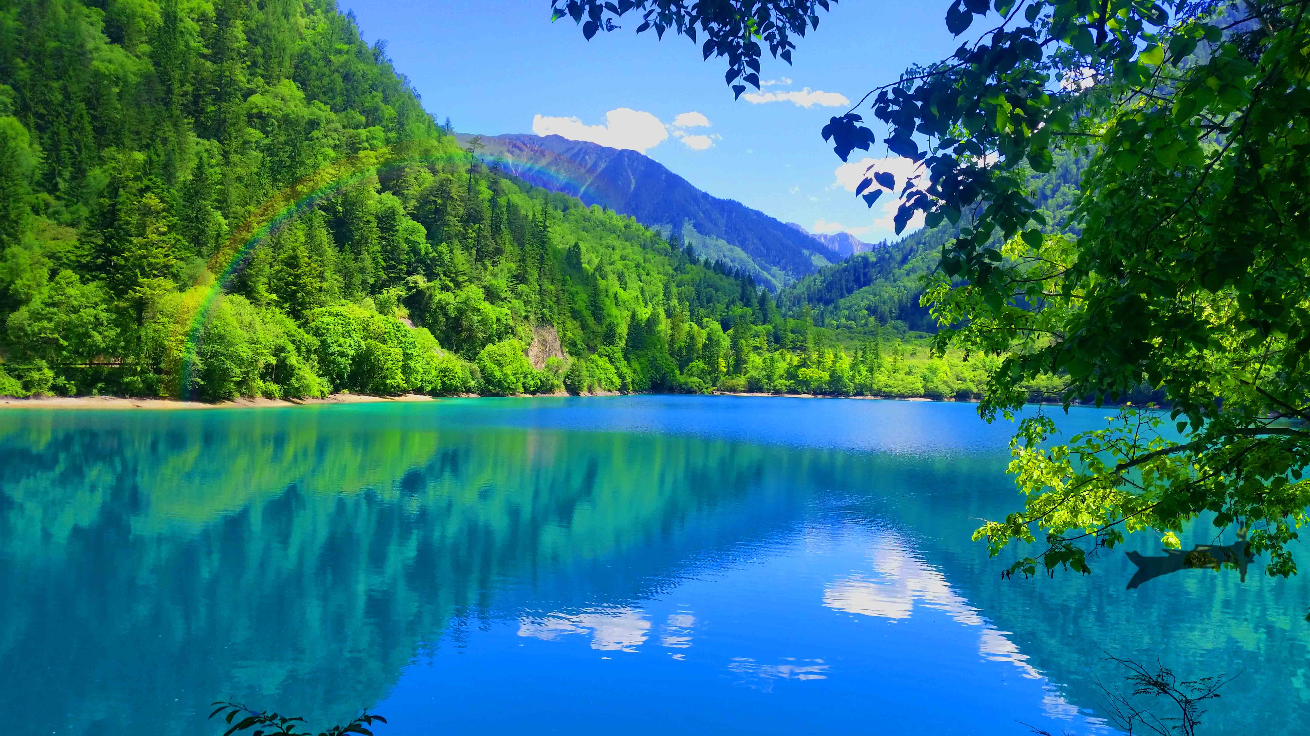 如何发挥研学营地协同作用