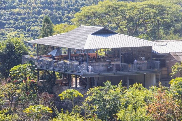 云南普洱：咖旅融合带来沉浸式旅游新体验