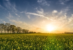 携程白皮书显示乡村旅游市场表现强劲