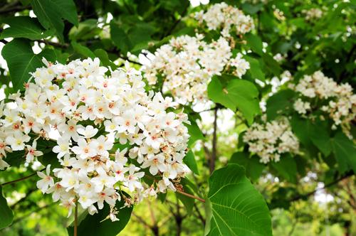 从一个半死不活的项目说说文旅开发中的6大教训！