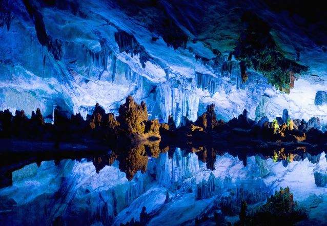 老板为什么都跳同一个坑，中国旅游景区怎么了？！！